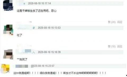 三社最新爆料视频在线观看,精彩瞬间不容错过
